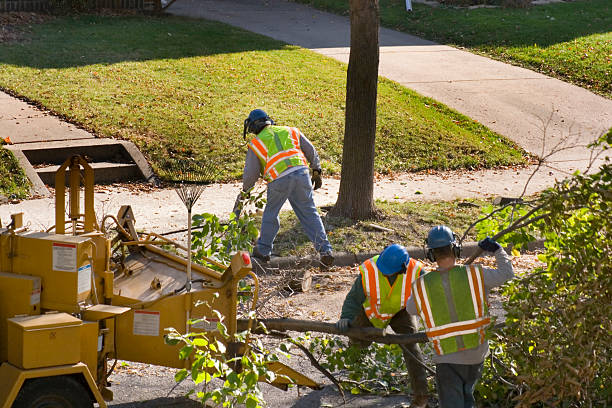 Best Leaf Removal  in Winter Gardens, CA